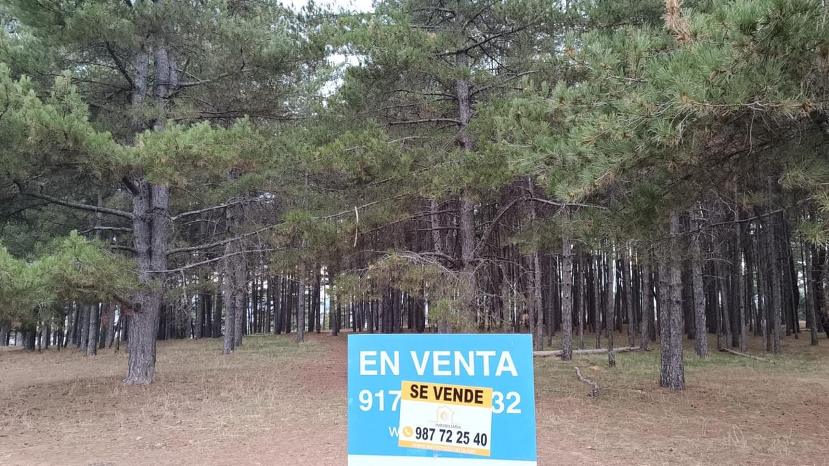 Terrenos en Venta en Urbanización LAS LOMAS, VALDEFRESNO, León