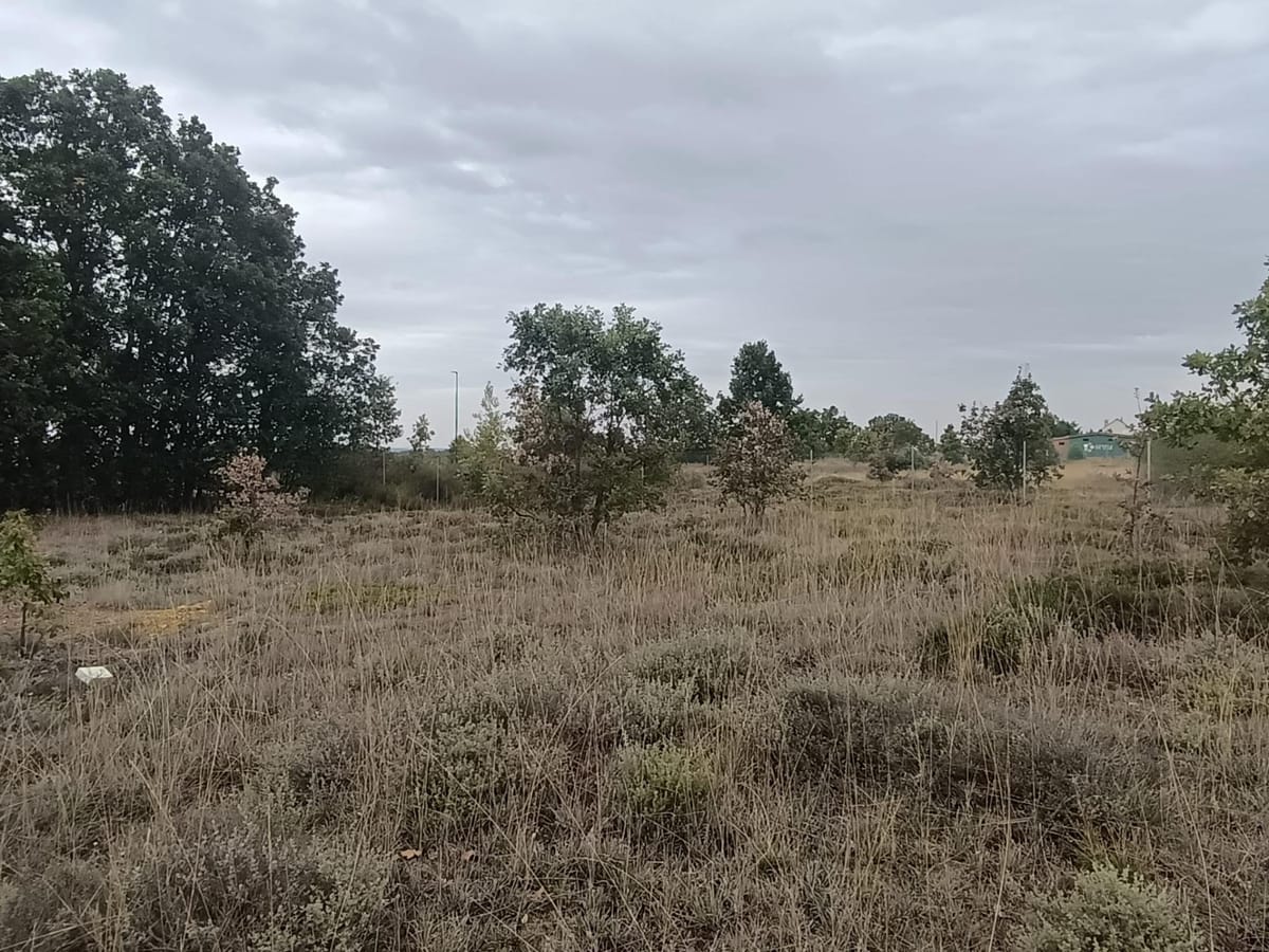 Descripción de parcelas urbanas en urbanización Estrella de Izar