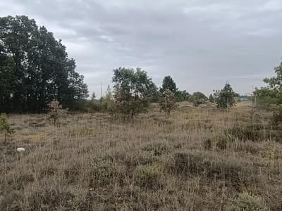 Descripción de parcelas urbanas en urbanización Estrella de Izar