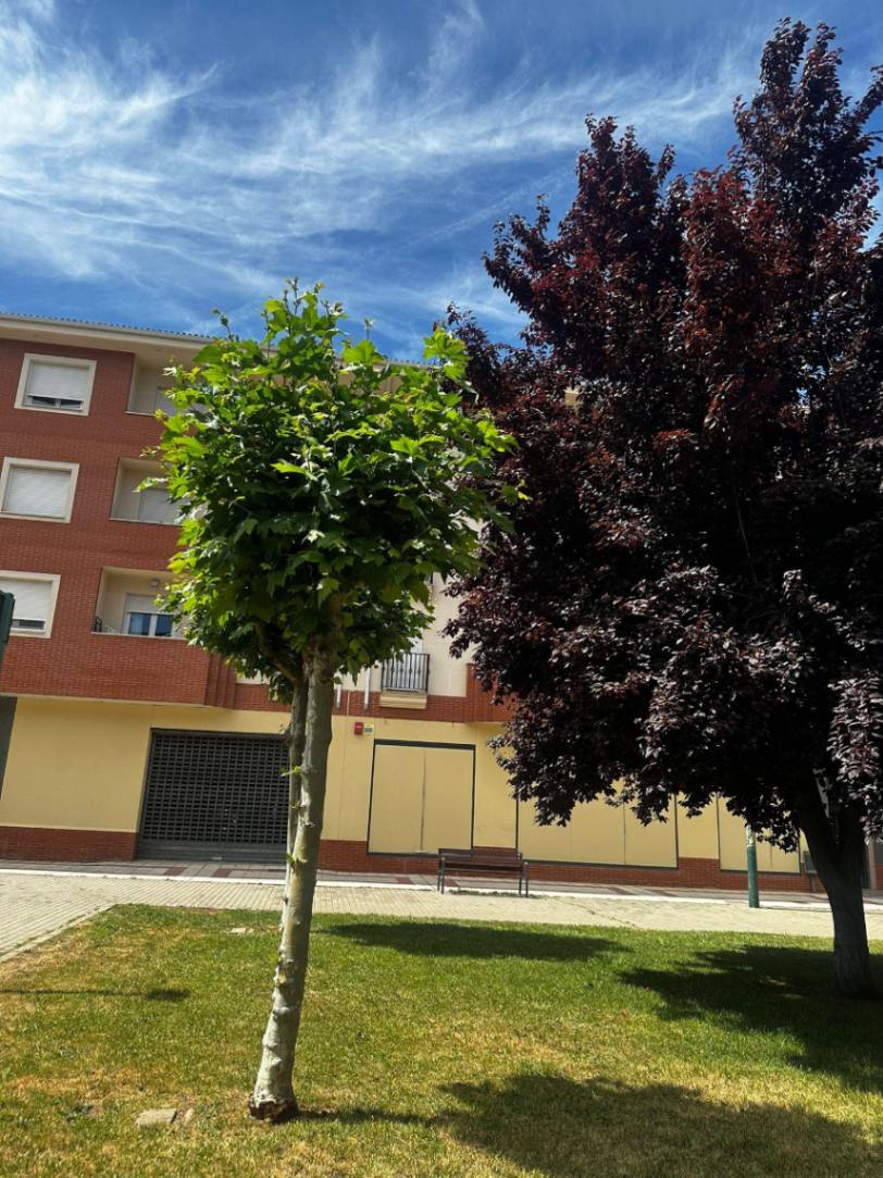 LOCAL DE 4000 M2 PARA GRANDES SUPERFICIES