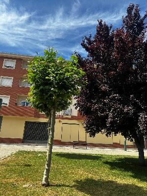 LOCAL DE 4000 M2 PARA GRANDES SUPERFICIES