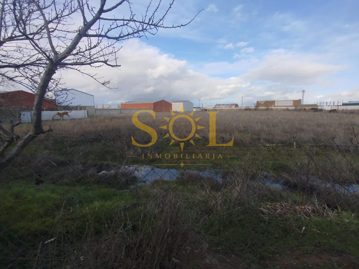 CASA INDEPENDIENTE CON PARCELA EN ONZONILLA - Foto 28