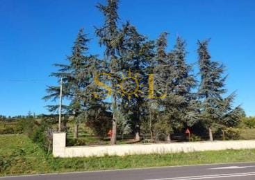 PARCELA EN CARRETERA CARBAJAL (LEON) - Foto 10