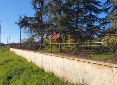 PARCELA EN CARRETERA CARBAJAL (LEON) - Foto 8