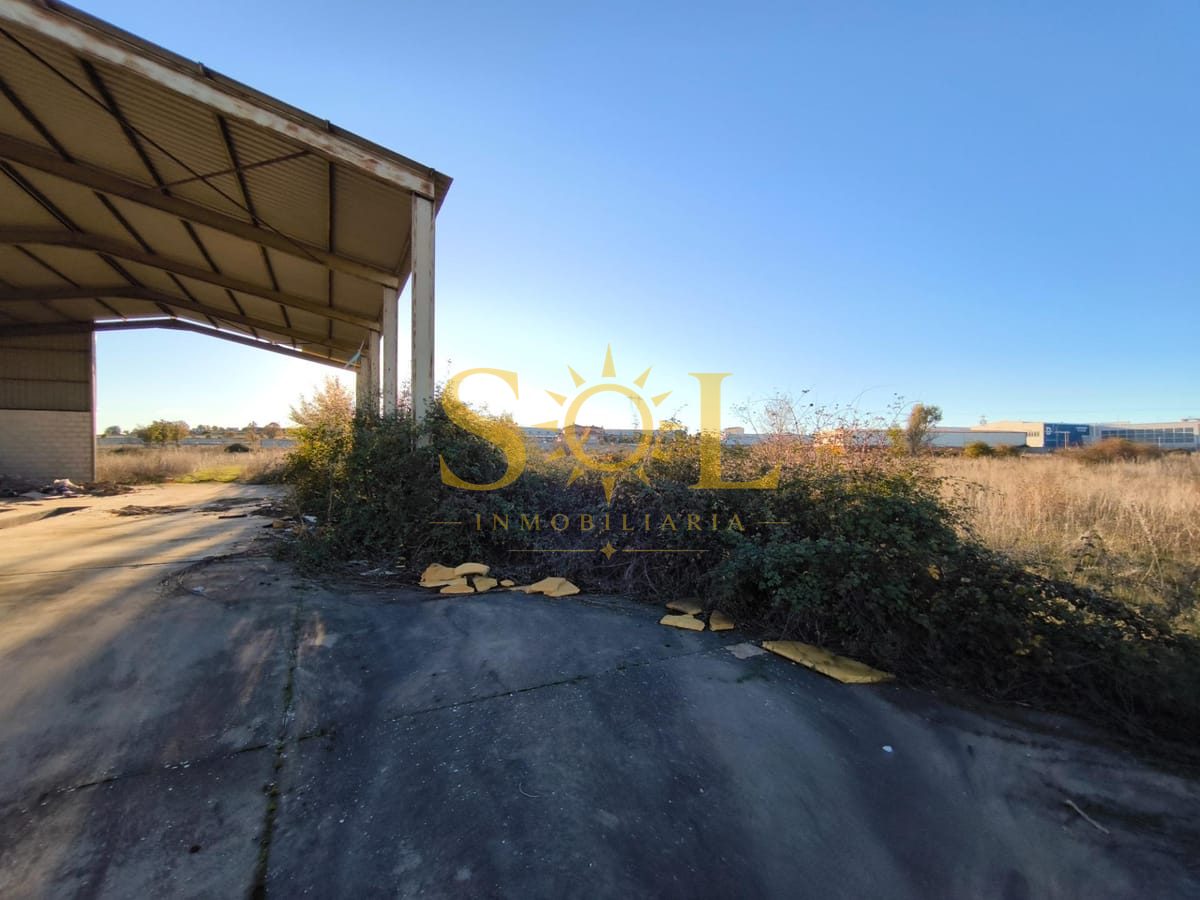 Terrenos agrarios en la zona de Leclerc - Foto 9
