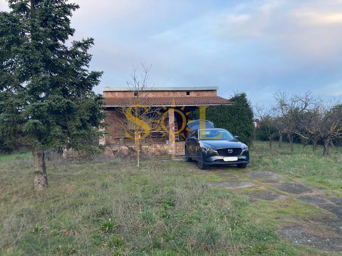 Refugio con terreno urbano en Castrillo de la Ribera - Foto 10