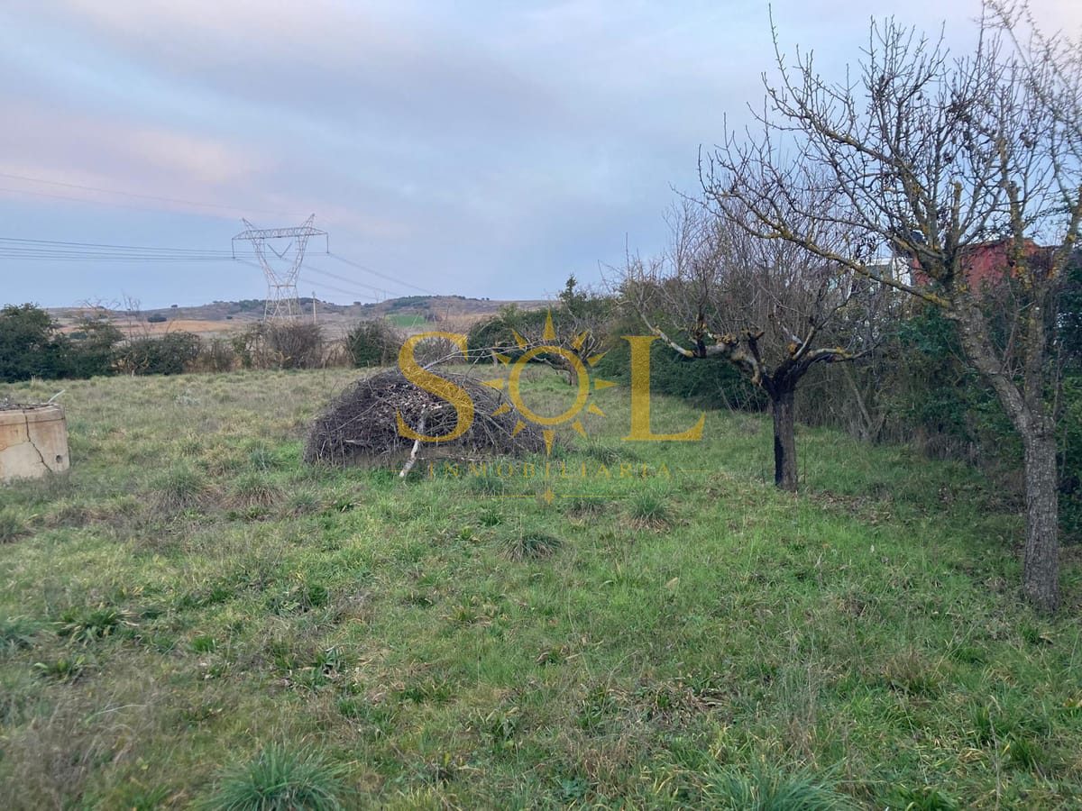 Refugio con terreno urbano en Castrillo de la Ribera - Foto 3