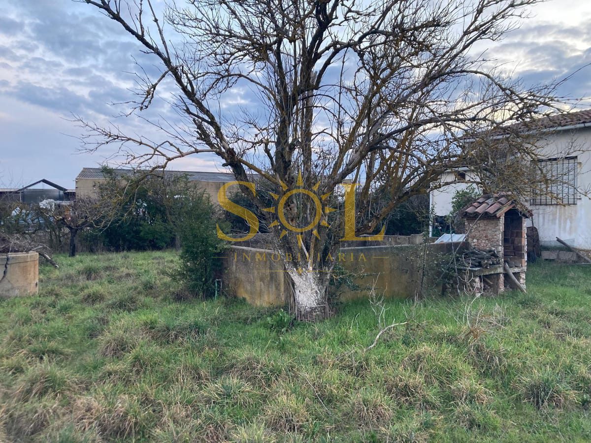 Refugio con terreno urbano en Castrillo de la Ribera - Foto 7