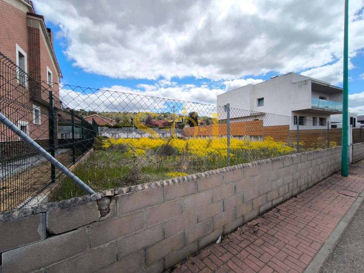 OPORTUNIDAD: PARCELA EN CARBAJAL - Foto 1