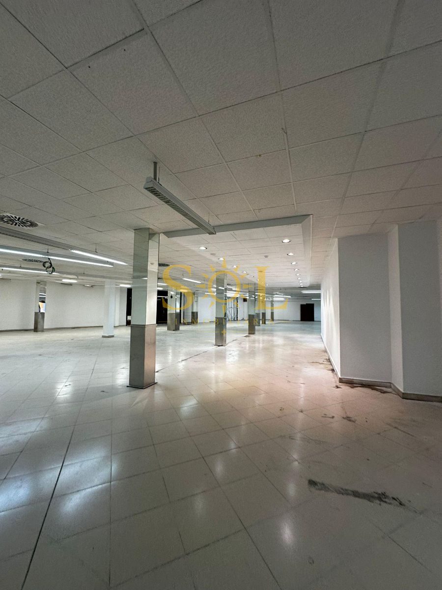 LOCAL DE 4000 M2 PARA GRANDES SUPERFICIES - Foto 11