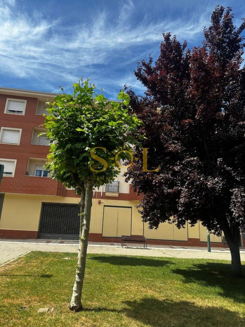 LOCAL DE 4000 M2 PARA GRANDES SUPERFICIES - Foto 2