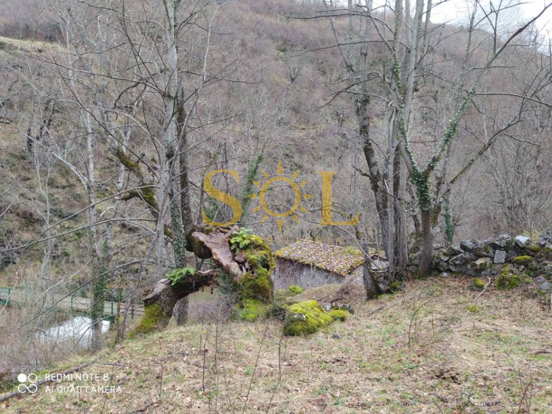 Cabaña - refugio de piedra  en Caín de Valdeón (León) - Foto 13