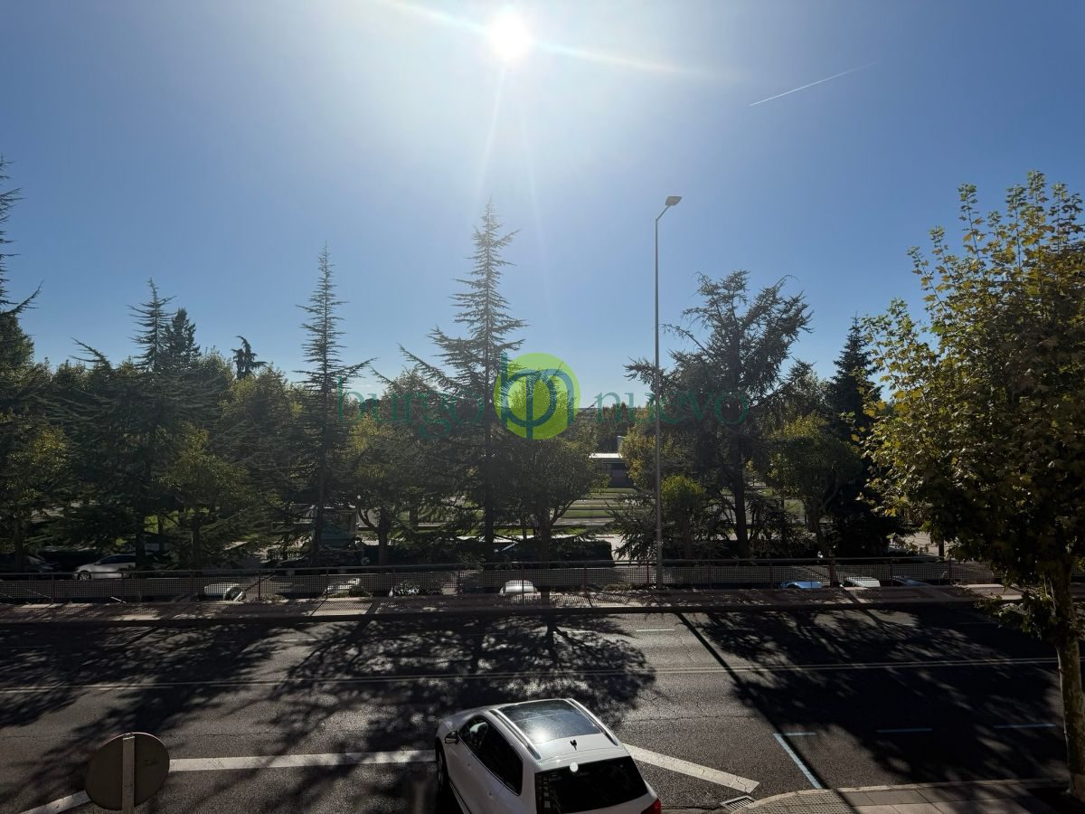 Luz, amplitud y vistas a Av. Facultad de Veterinaria - Foto 4