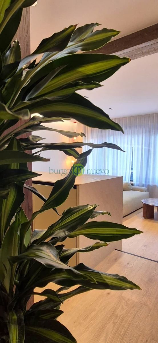 ESPECTACULAR APARTAMENTO EN EL CENTRO - Foto 9