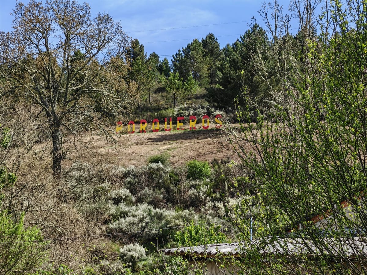🌿 Se vende parcela urbana en Porqueros