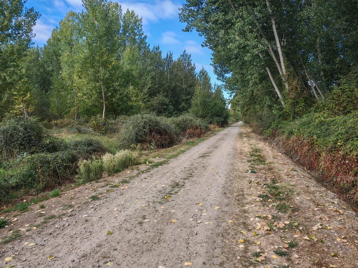 Se vende finca rustica