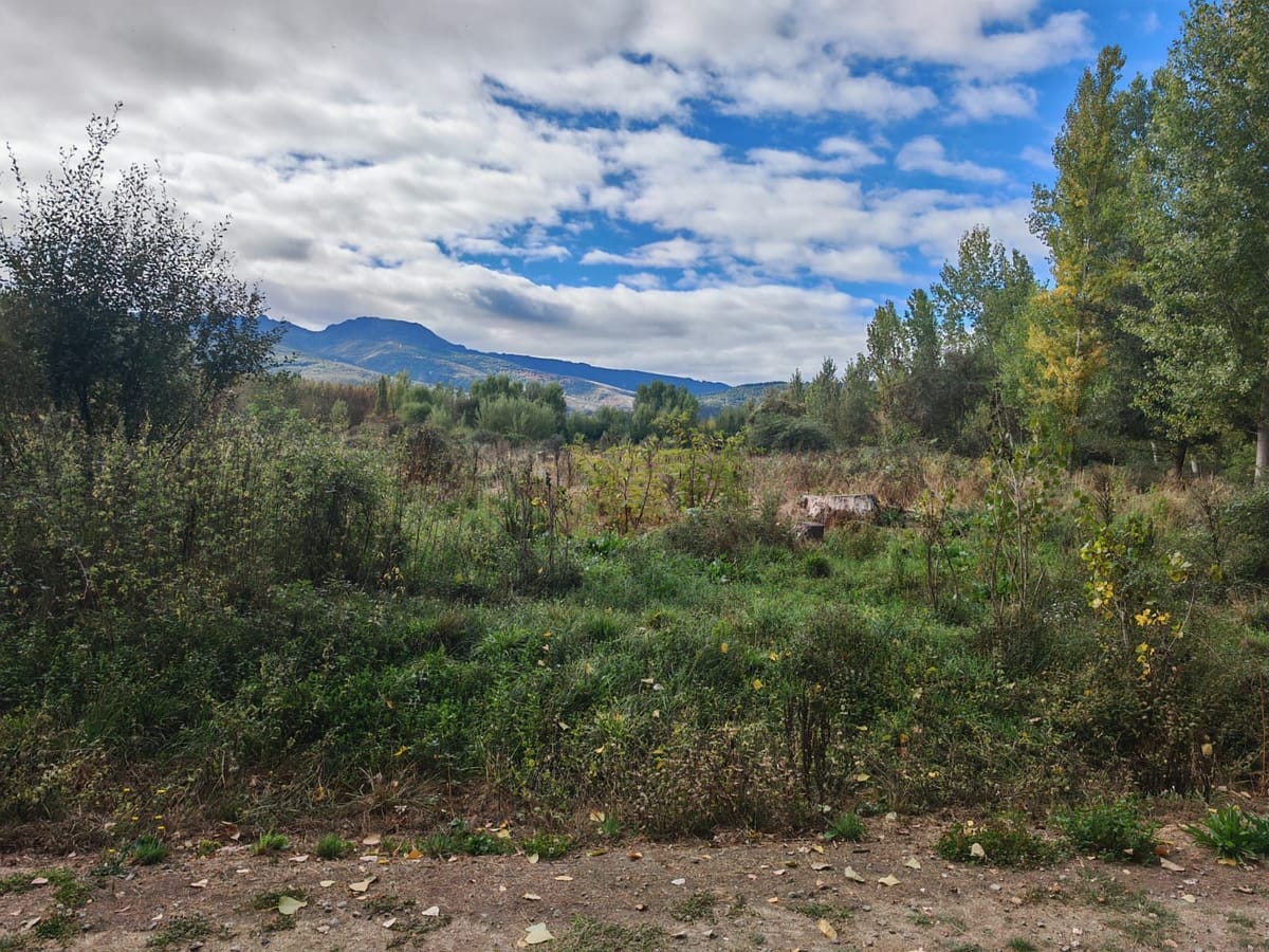 Se vende finca rustica
