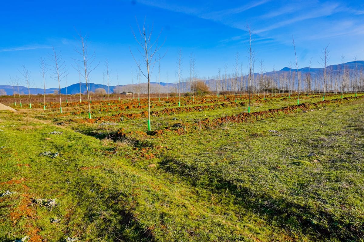 Se vende finca rustica en las chanas, Dehesas