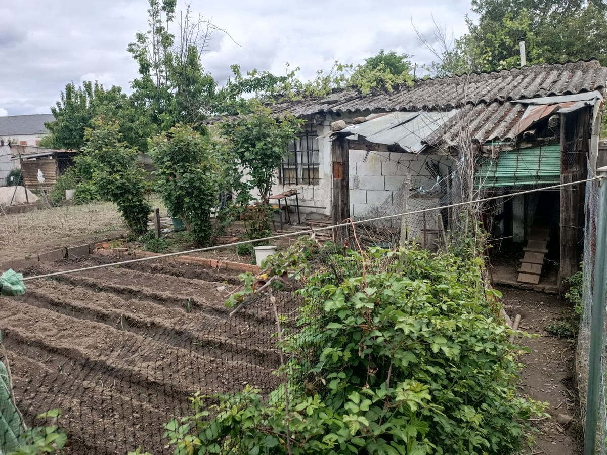 Terreno rustico en plena ciudad de Ponferrada, cerrado y con caseta