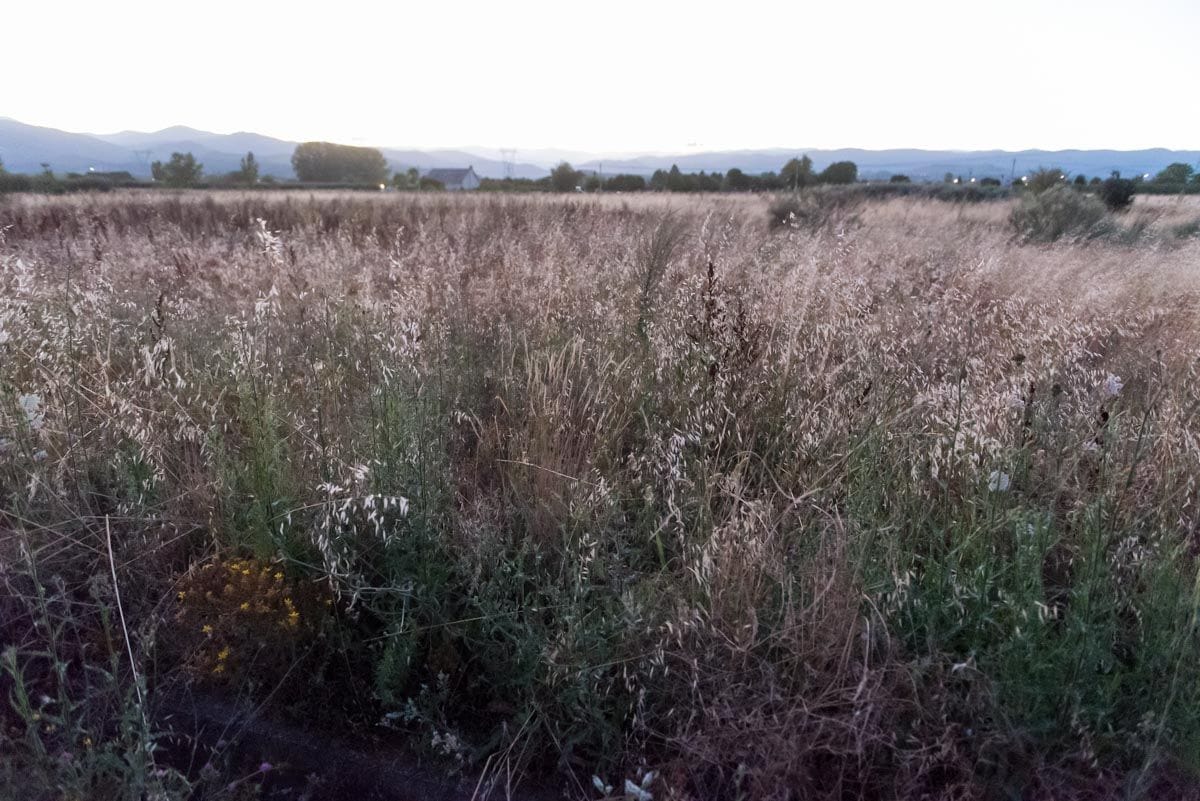 Se vende finca rustica en Carracedelo
