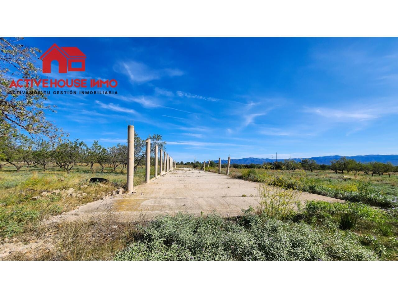 Finca rustica de 34 Hectáreas en venta en Roquetes - Foto 11