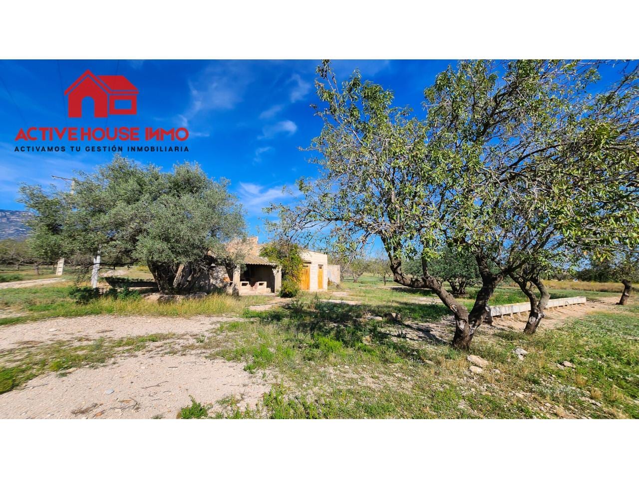 Finca rustica de 34 Hectáreas en venta en Roquetes - Foto 13