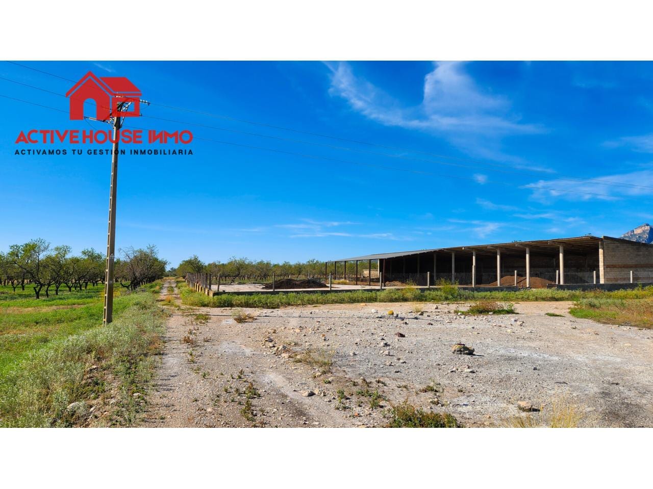 Finca rustica de 34 Hectáreas en venta en Roquetes - Foto 14