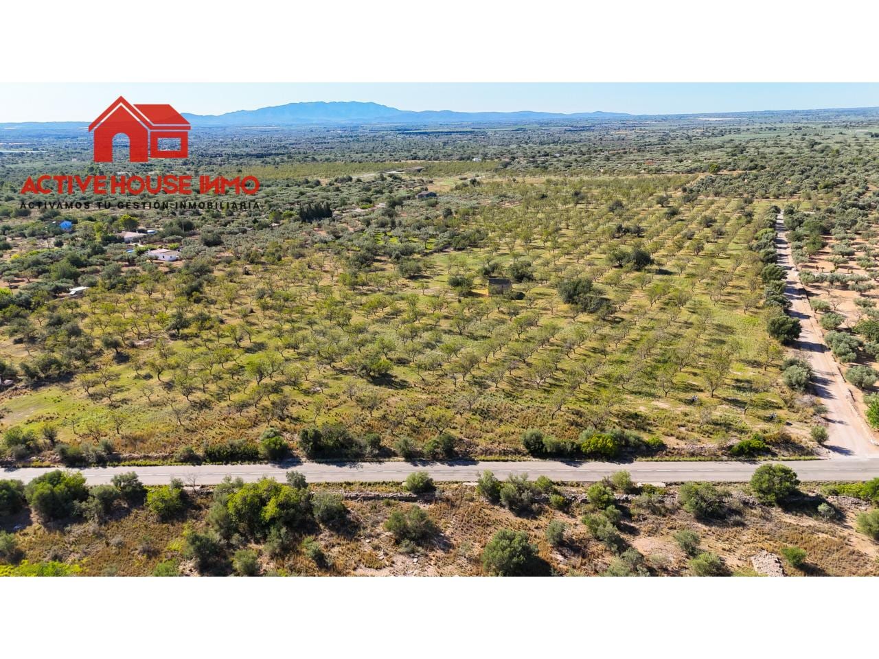 Finca rustica de 34 Hectáreas en venta en Roquetes - Foto 16