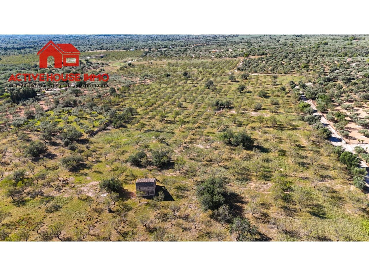 Finca rustica de 34 Hectáreas en venta en Roquetes - Foto 17