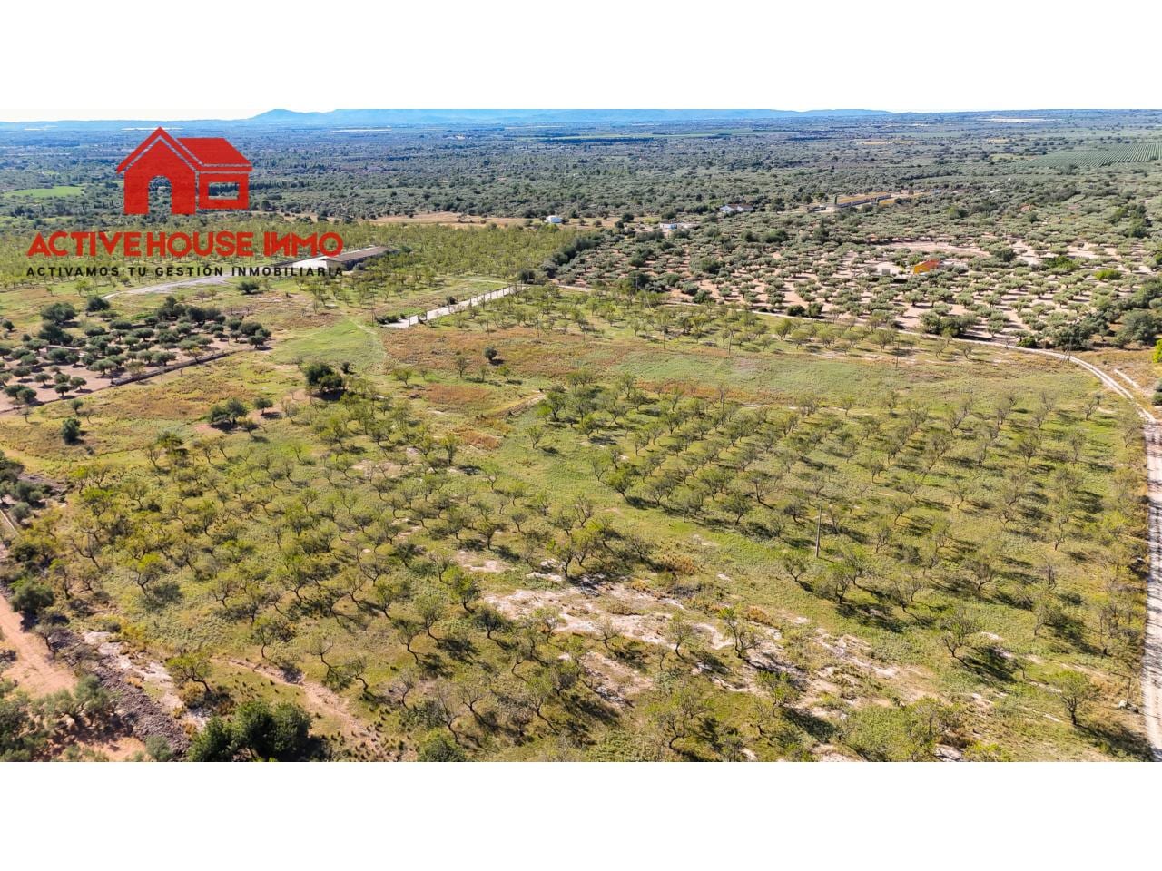 Finca rustica de 34 Hectáreas en venta en Roquetes - Foto 18