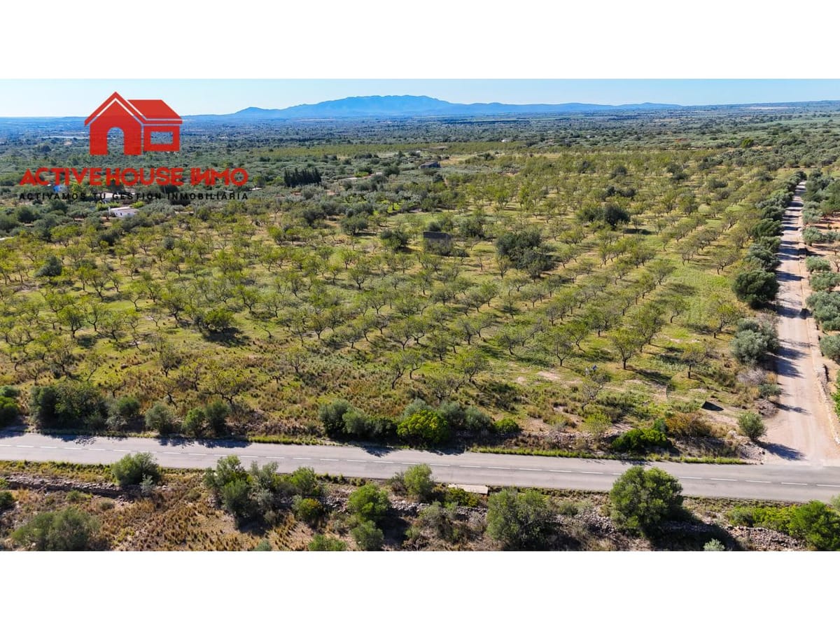 Finca rustica de 34 Hectáreas en venta en Roquetes