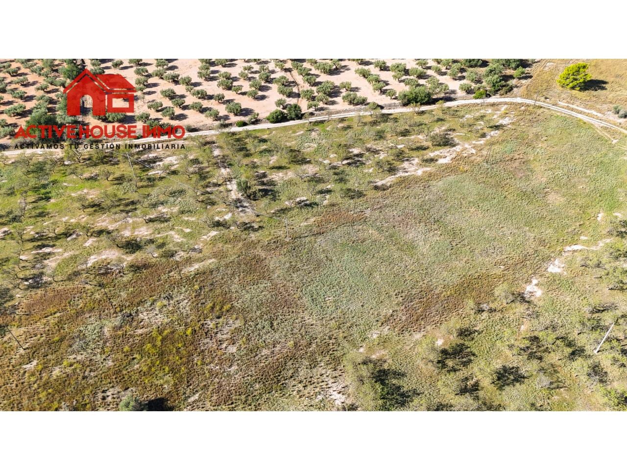 Finca rustica de 34 Hectáreas en venta en Roquetes - Foto 21