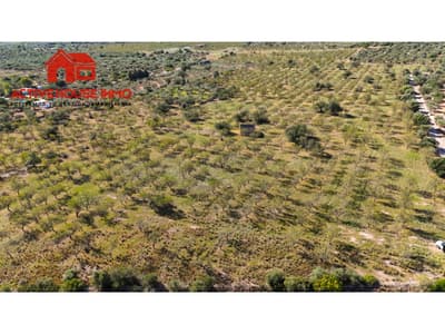 Finca rustica de 34 Hectáreas en venta en Roquetes