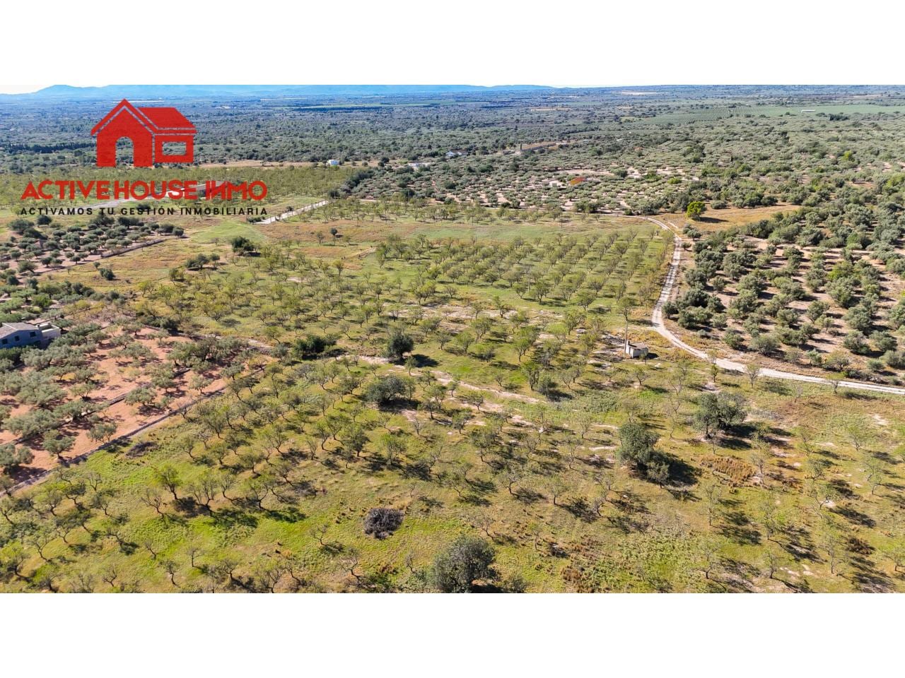Finca rustica de 34 Hectáreas en venta en Roquetes - Foto 3