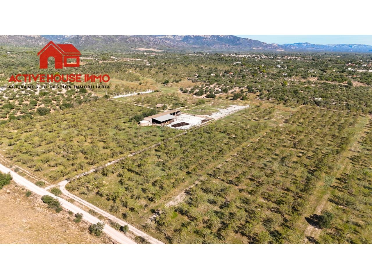 Finca rustica de 34 Hectáreas en venta en Roquetes - Foto 4