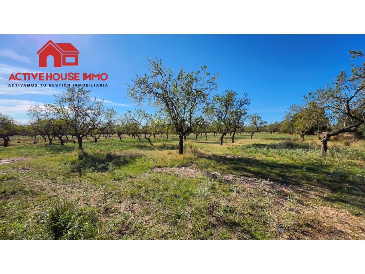 Finca rustica de 34 Hectáreas en venta en Roquetes - Foto 5