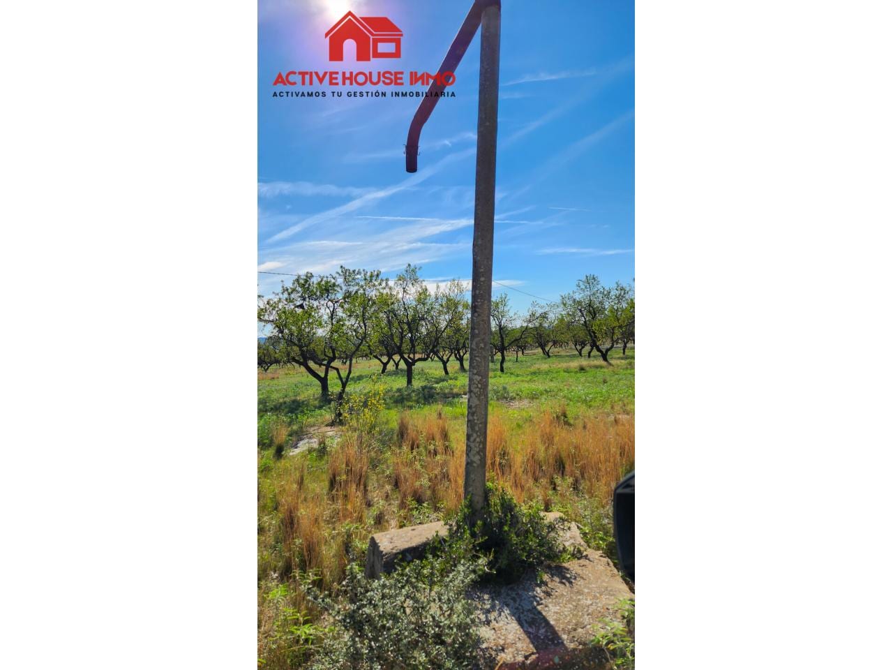 Finca rustica de 34 Hectáreas en venta en Roquetes - Foto 8
