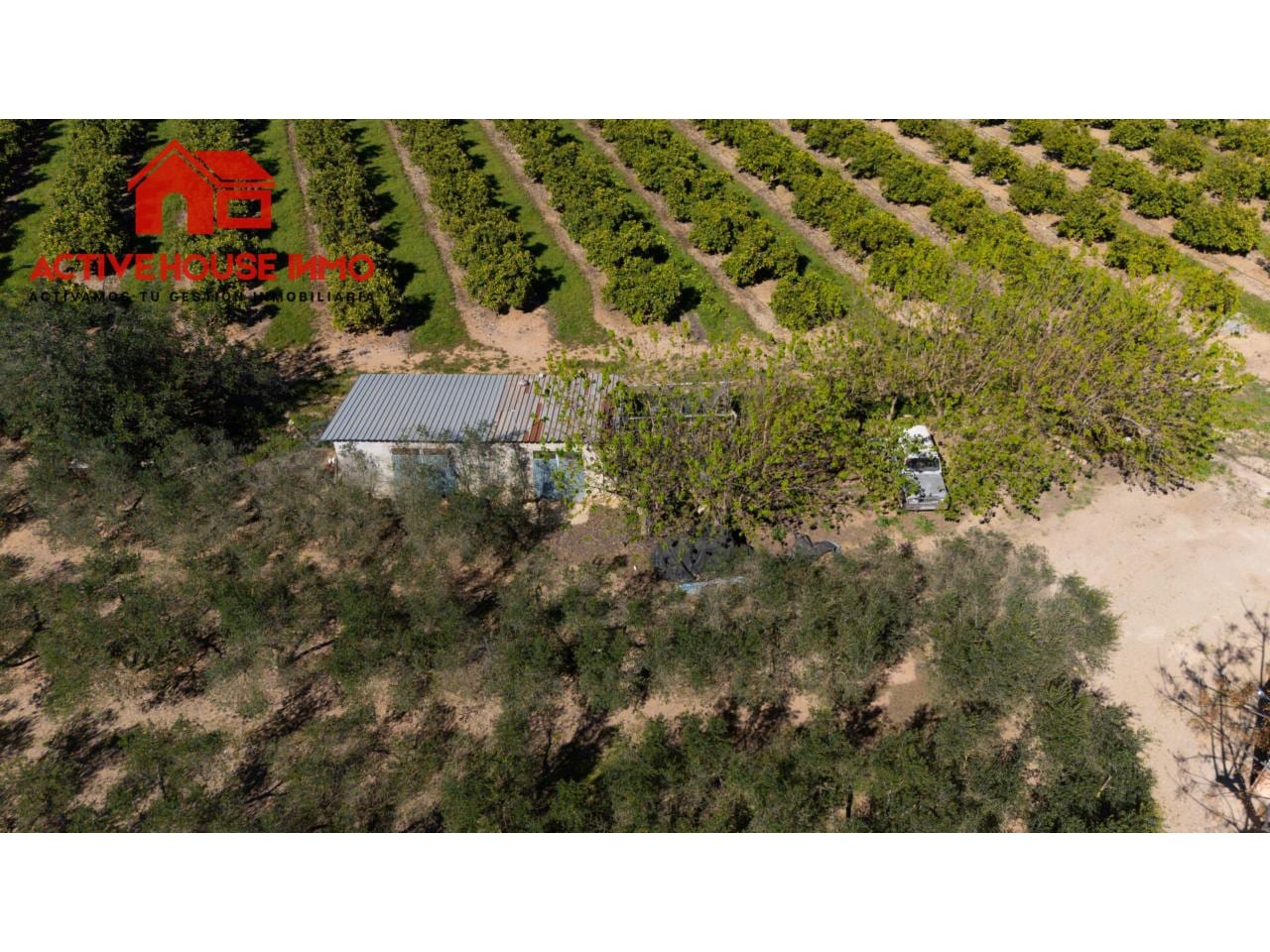 Oportunidad! Finca rústica con Casa, piscina y garaje en Santa Bàrbara - Foto 29