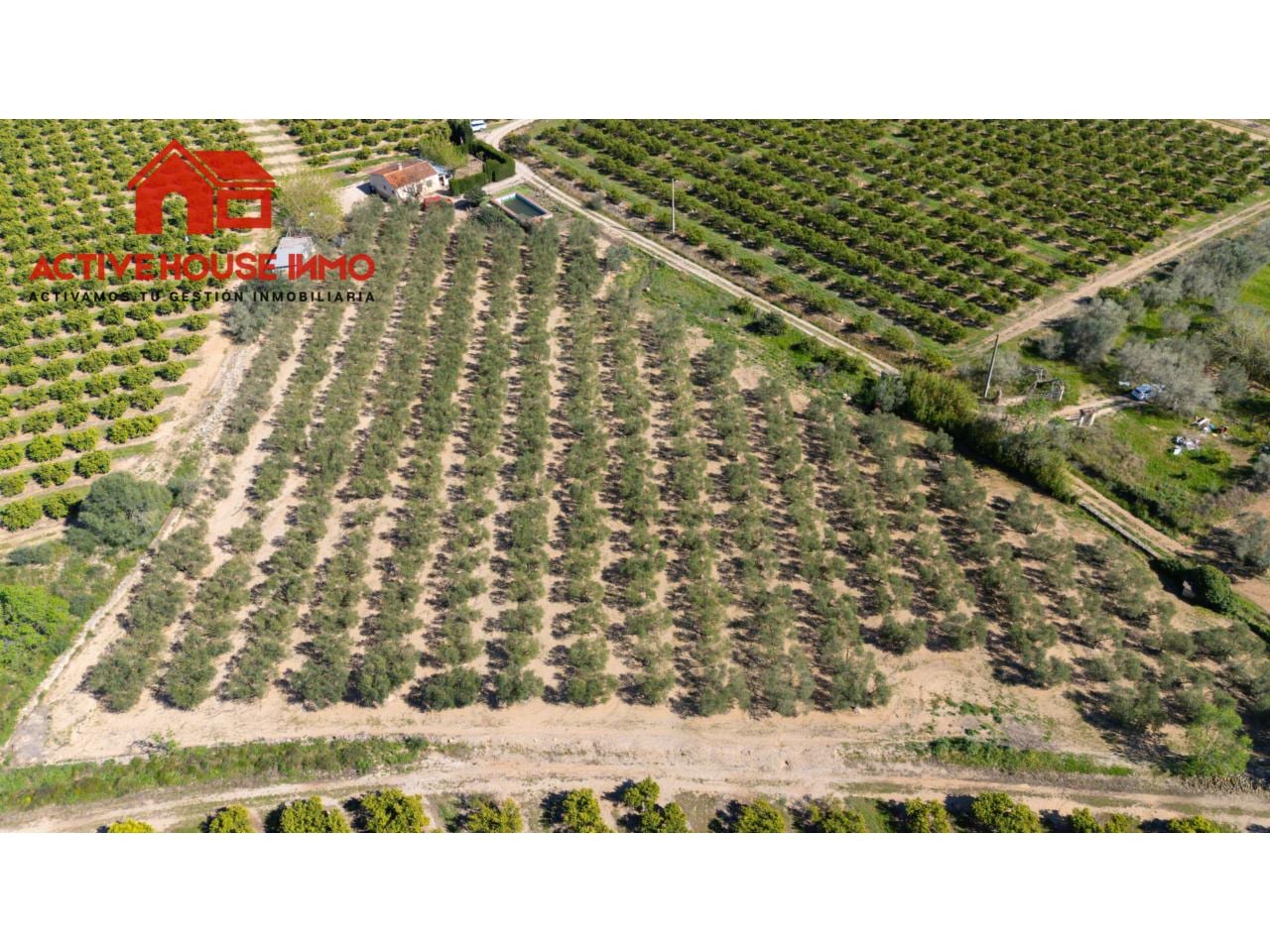 Oportunidad! Finca rústica con Casa, piscina y garaje en Santa Bàrbara - Foto 3