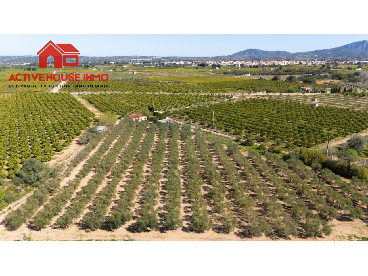 Oportunidad! Finca rústica con Casa, piscina y garaje en Santa Bàrbara - Foto 4