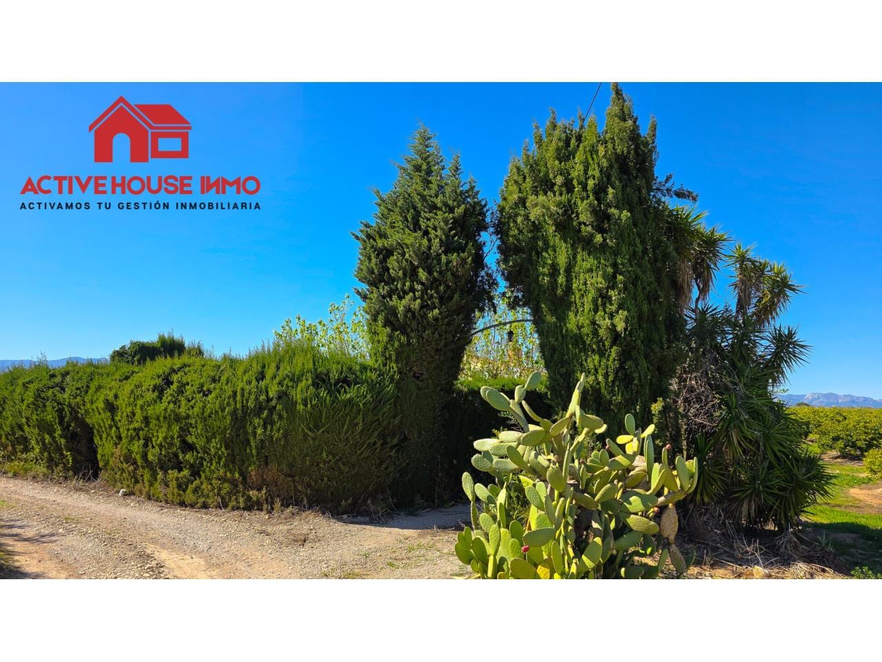 Oportunidad! Finca rústica con Casa, piscina y garaje en Santa Bàrbara - Foto 7