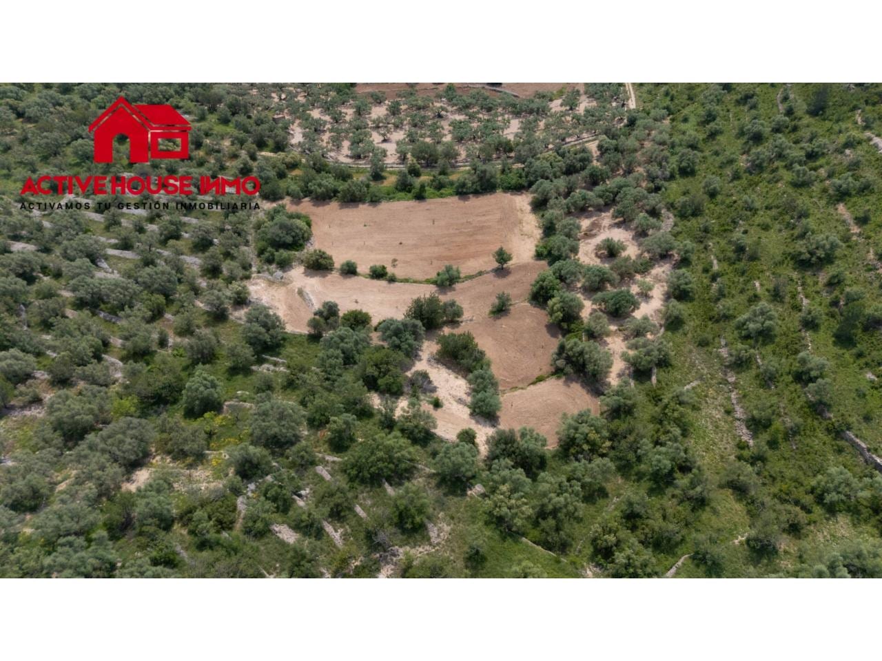 Finca rustica de 6 Jornales en venta en Mas de Barberans - Foto 10