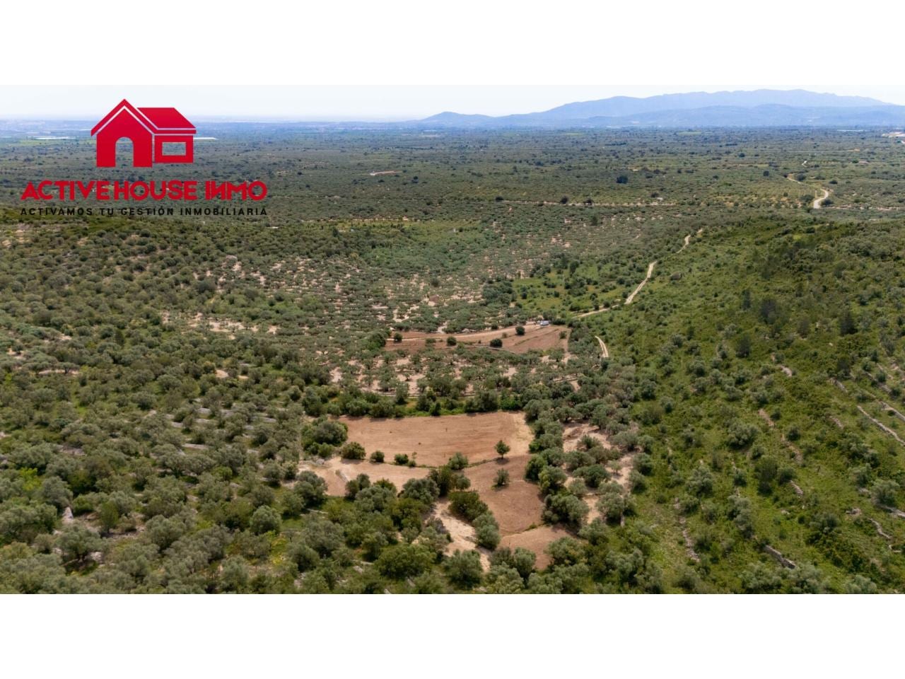 Finca rustica de 6 Jornales en venta en Mas de Barberans - Foto 11
