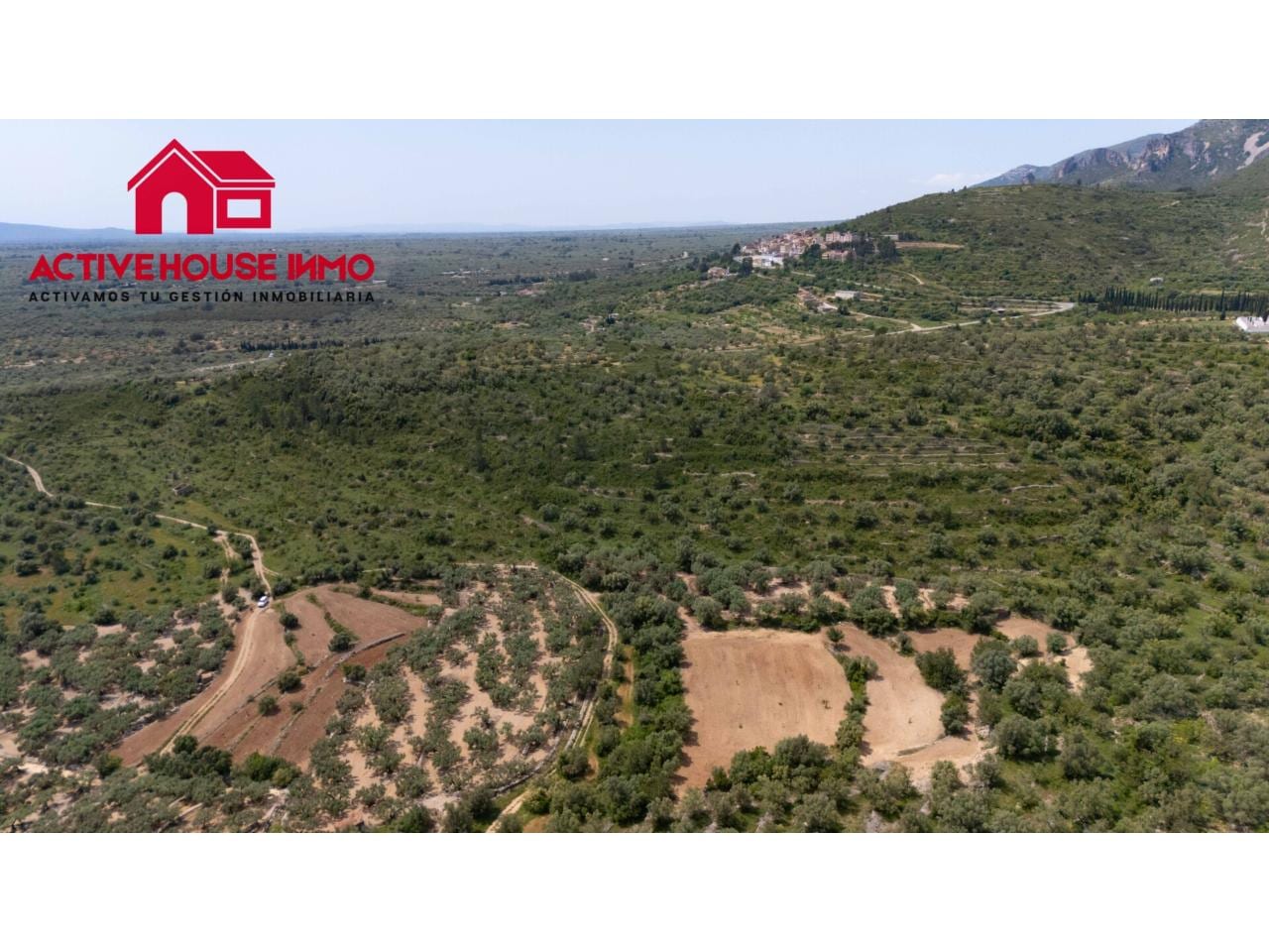 Finca rustica de 6 Jornales en venta en Mas de Barberans - Foto 12