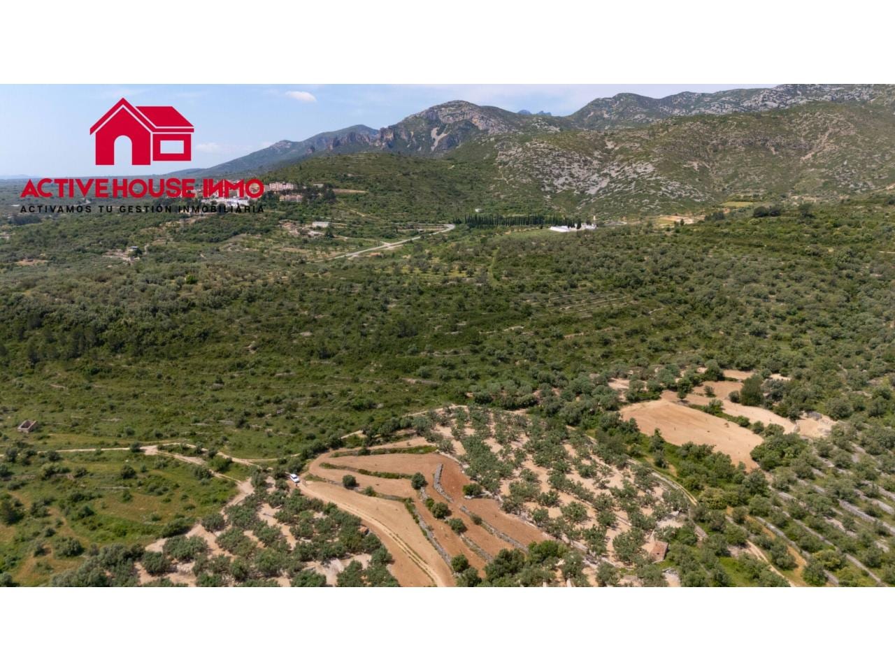 Finca rustica de 6 Jornales en venta en Mas de Barberans - Foto 13
