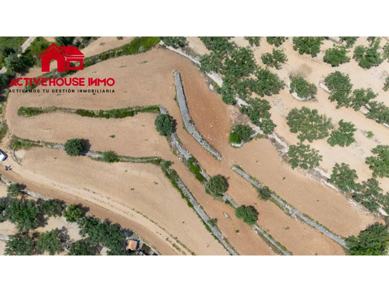 Finca rustica de 6 Jornales en venta en Mas de Barberans - Foto 15