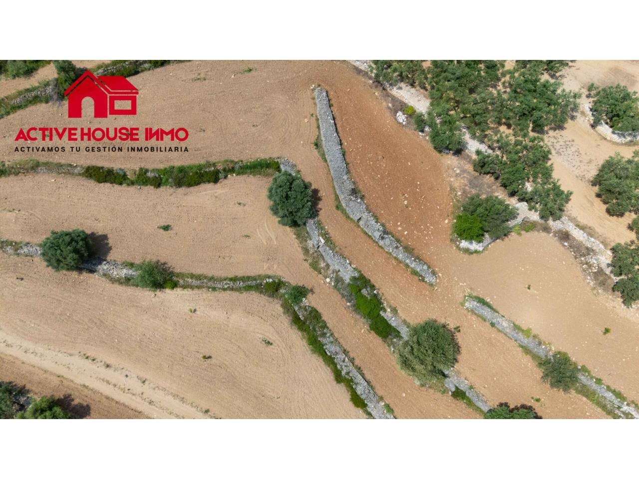 Finca rustica de 6 Jornales en venta en Mas de Barberans - Foto 16