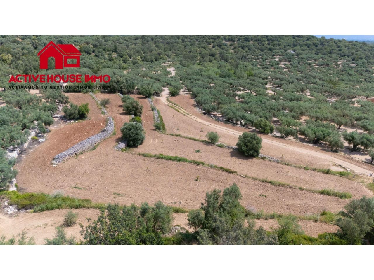 Finca rustica de 6 Jornales en venta en Mas de Barberans - Foto 17