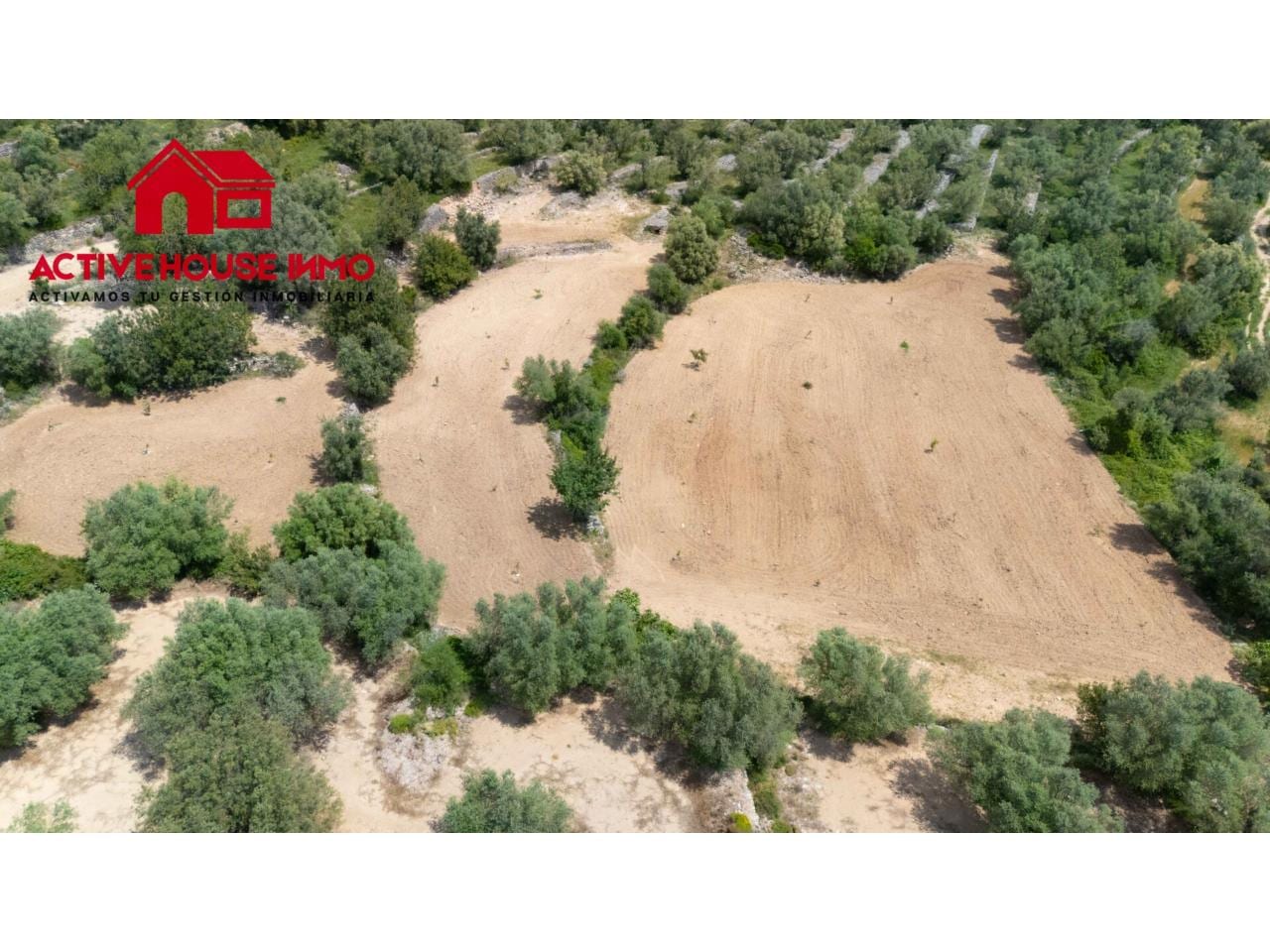 Finca rustica de 6 Jornales en venta en Mas de Barberans - Foto 18