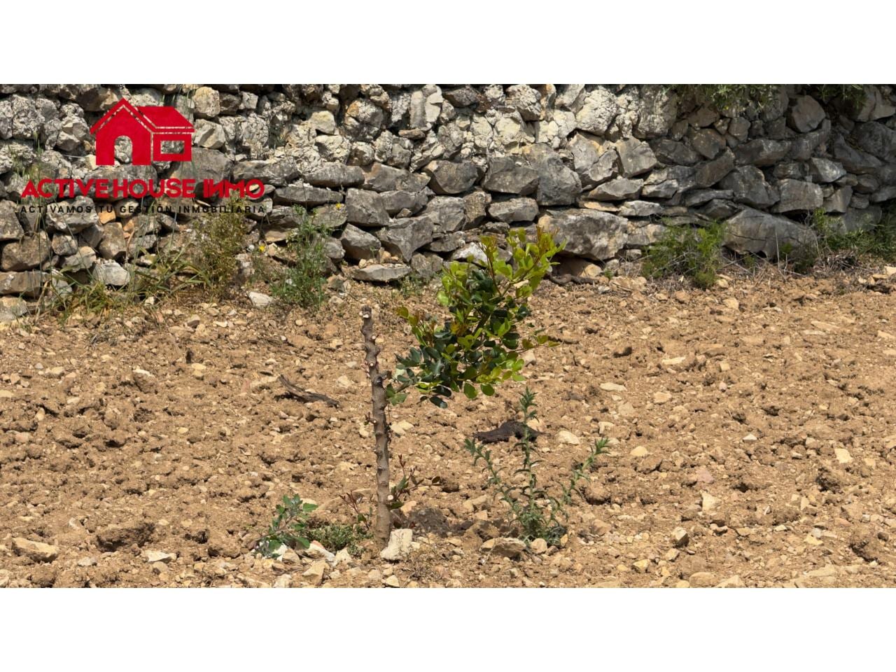 Finca rustica de 6 Jornales en venta en Mas de Barberans - Foto 19